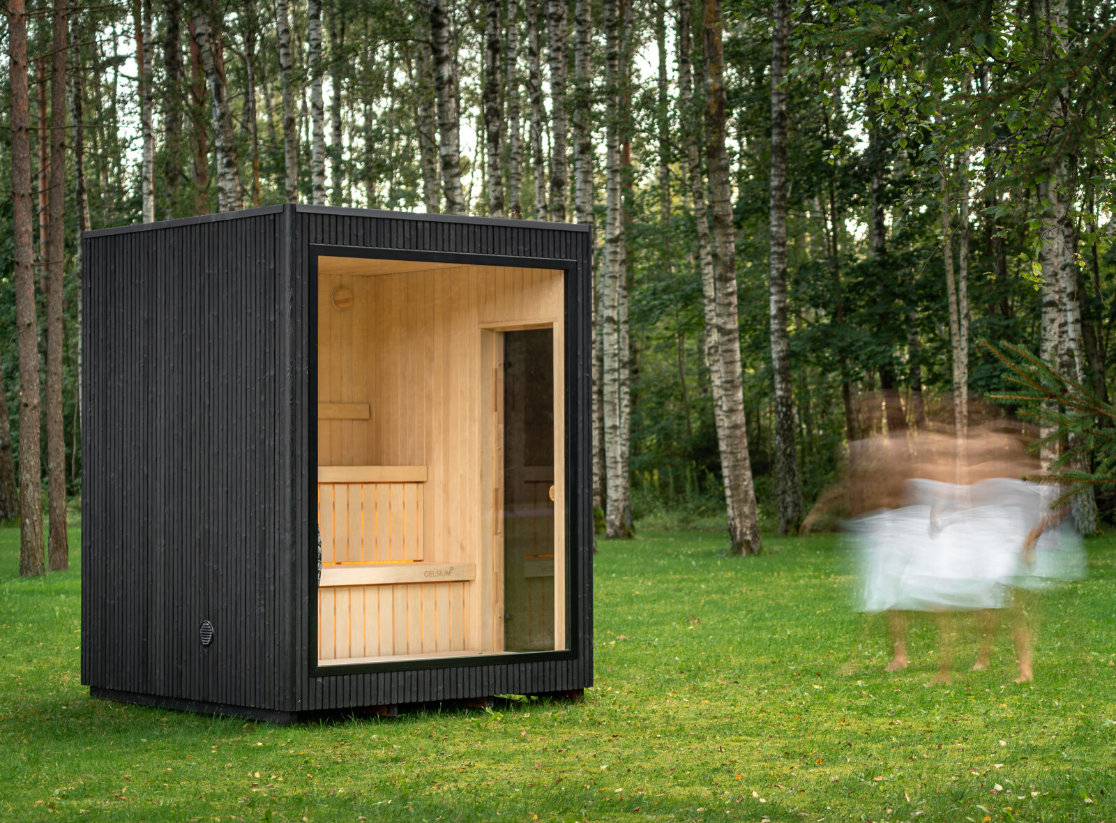 Jonas classic sugiban - Celsium