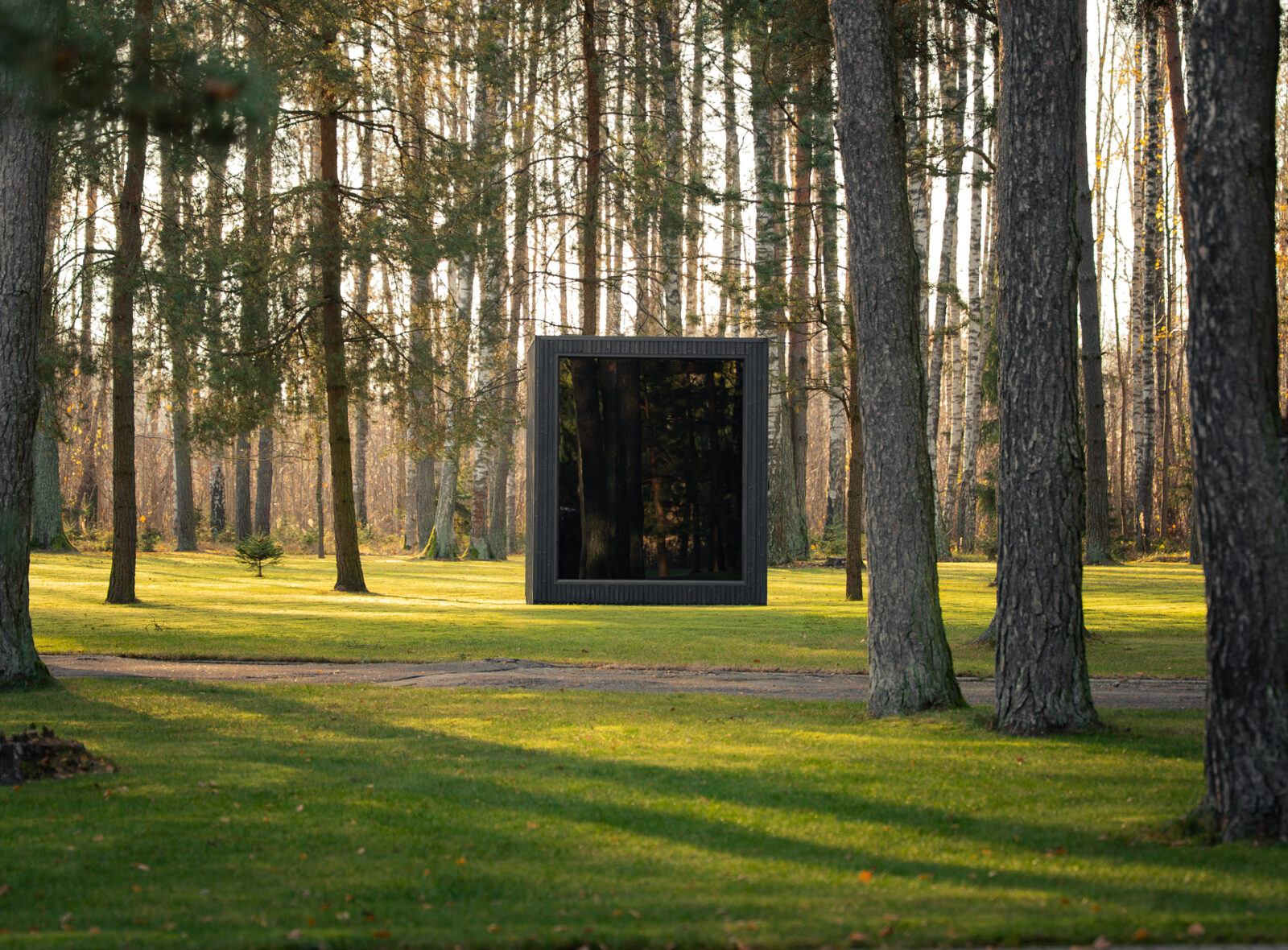 Jonas classic sugiban - Celsium