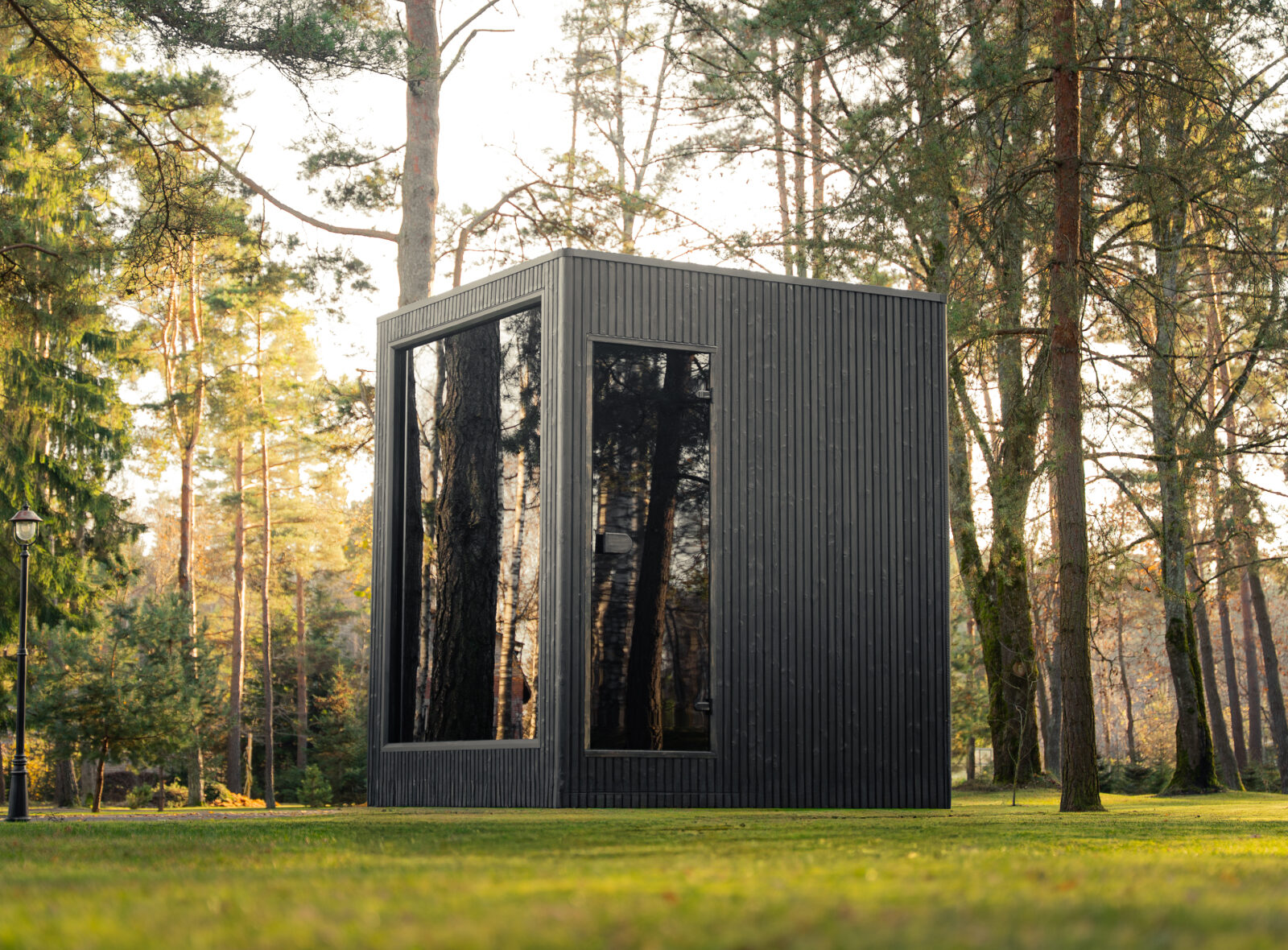 Jonas classic sugiban