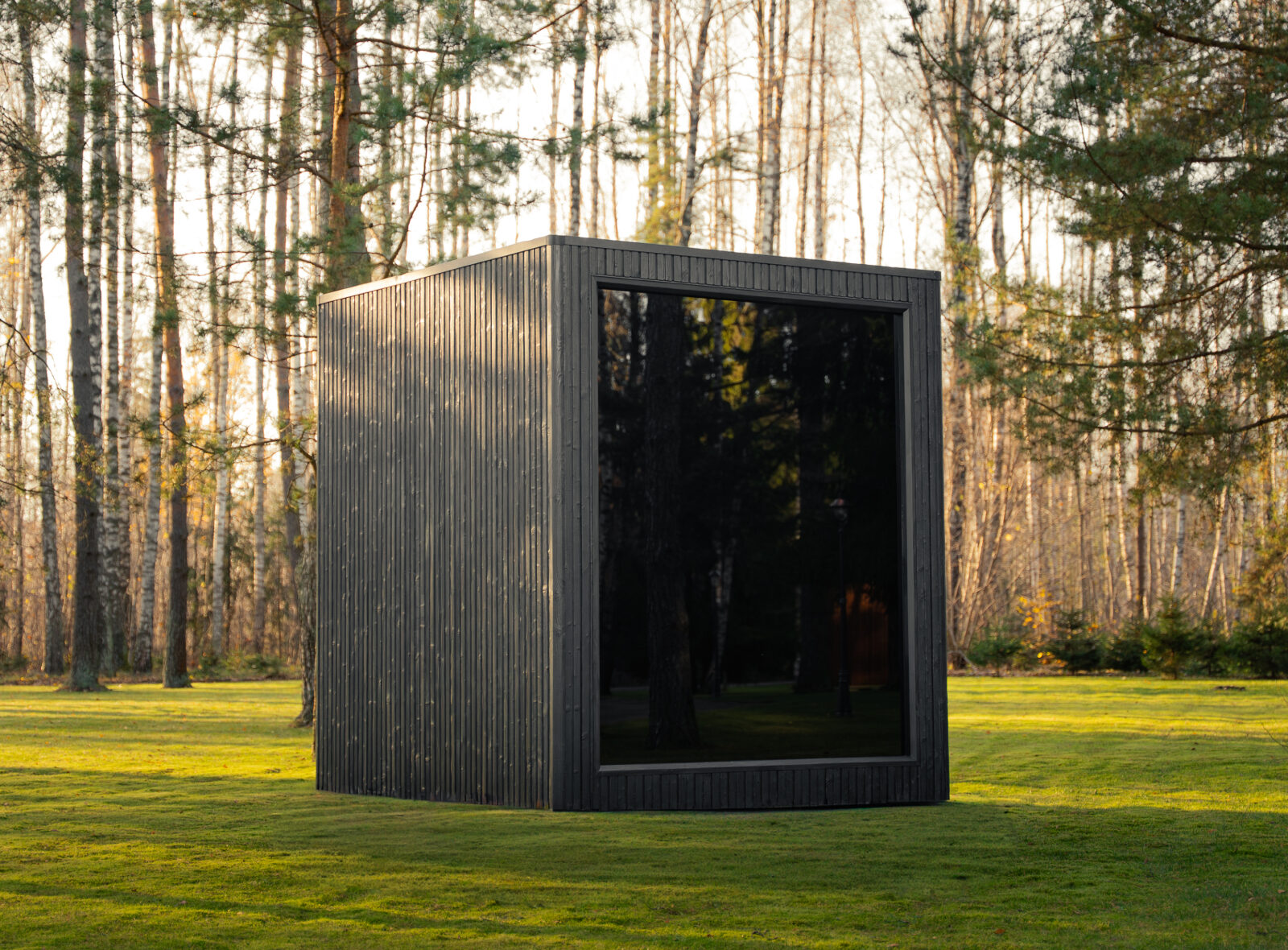 Jonas classic sugiban