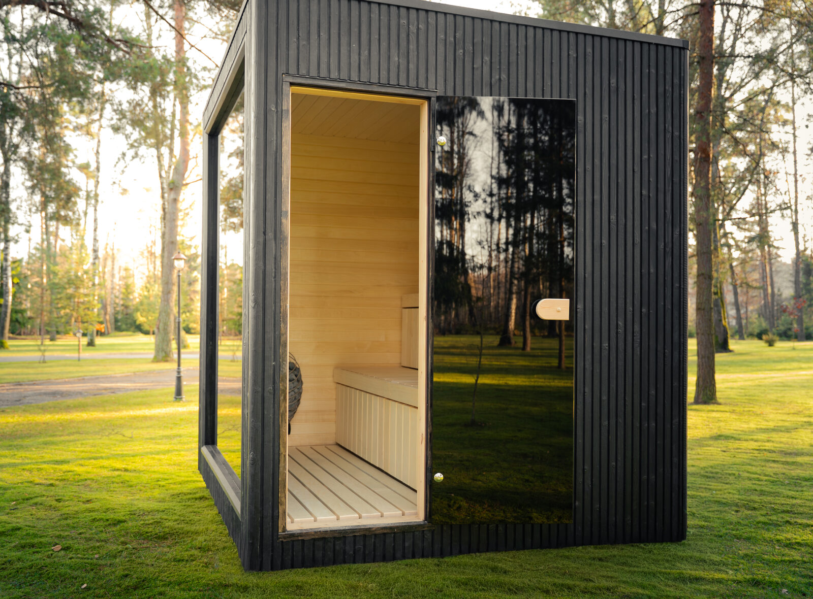 Jonas classic sugiban