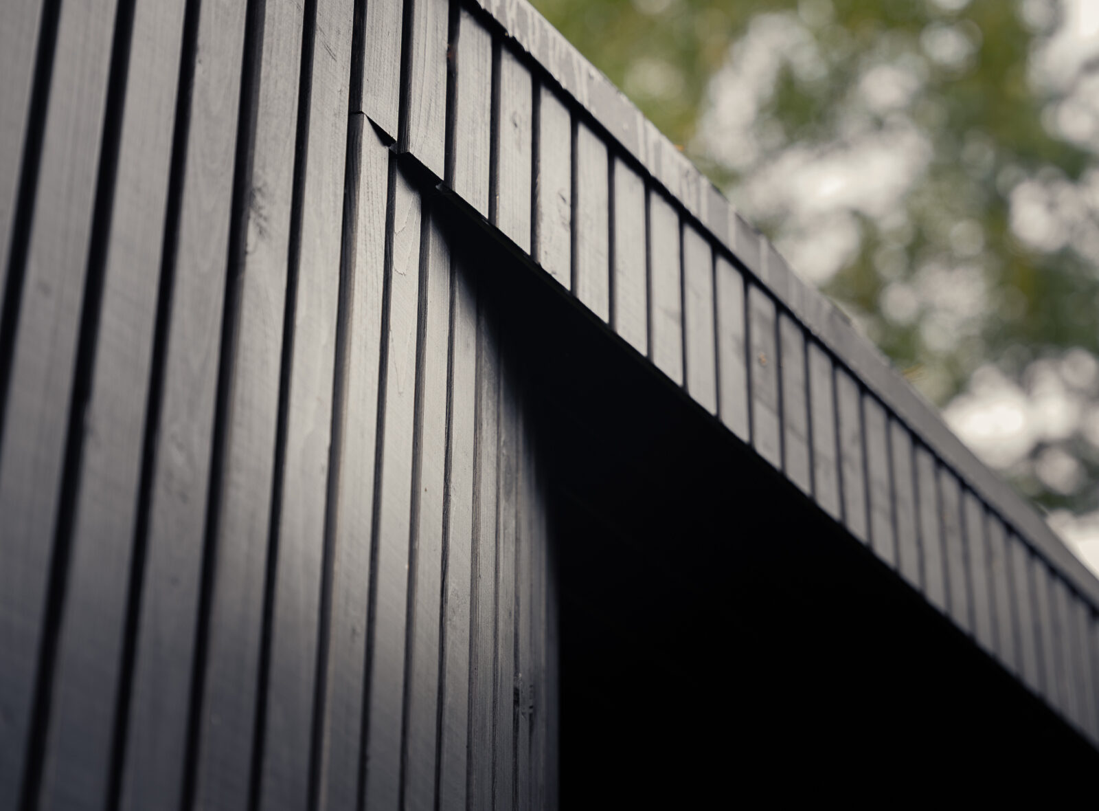 Tauras classic black by Celsium