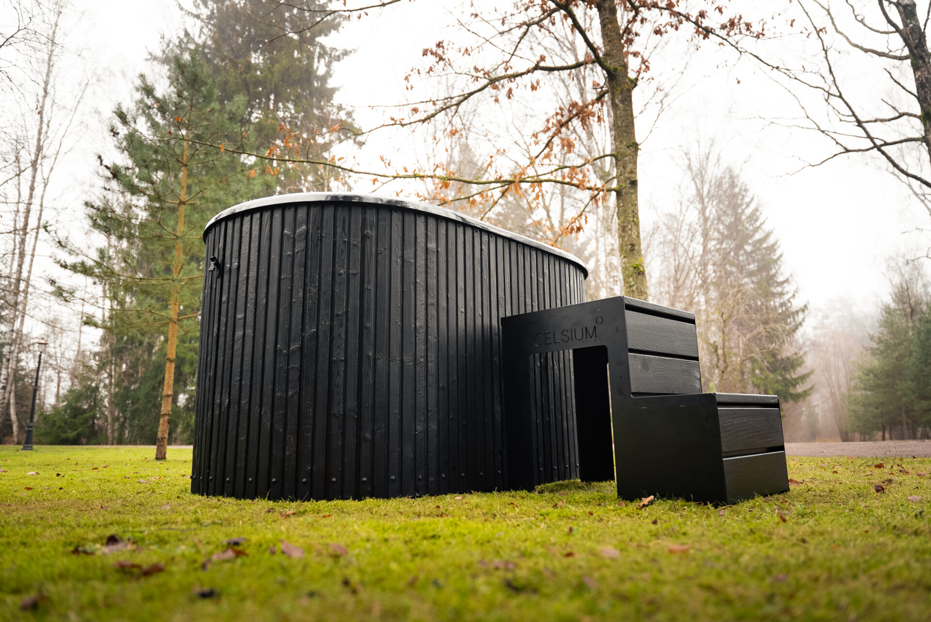 A calm ice plunge experience immersed in the stillness of the forest