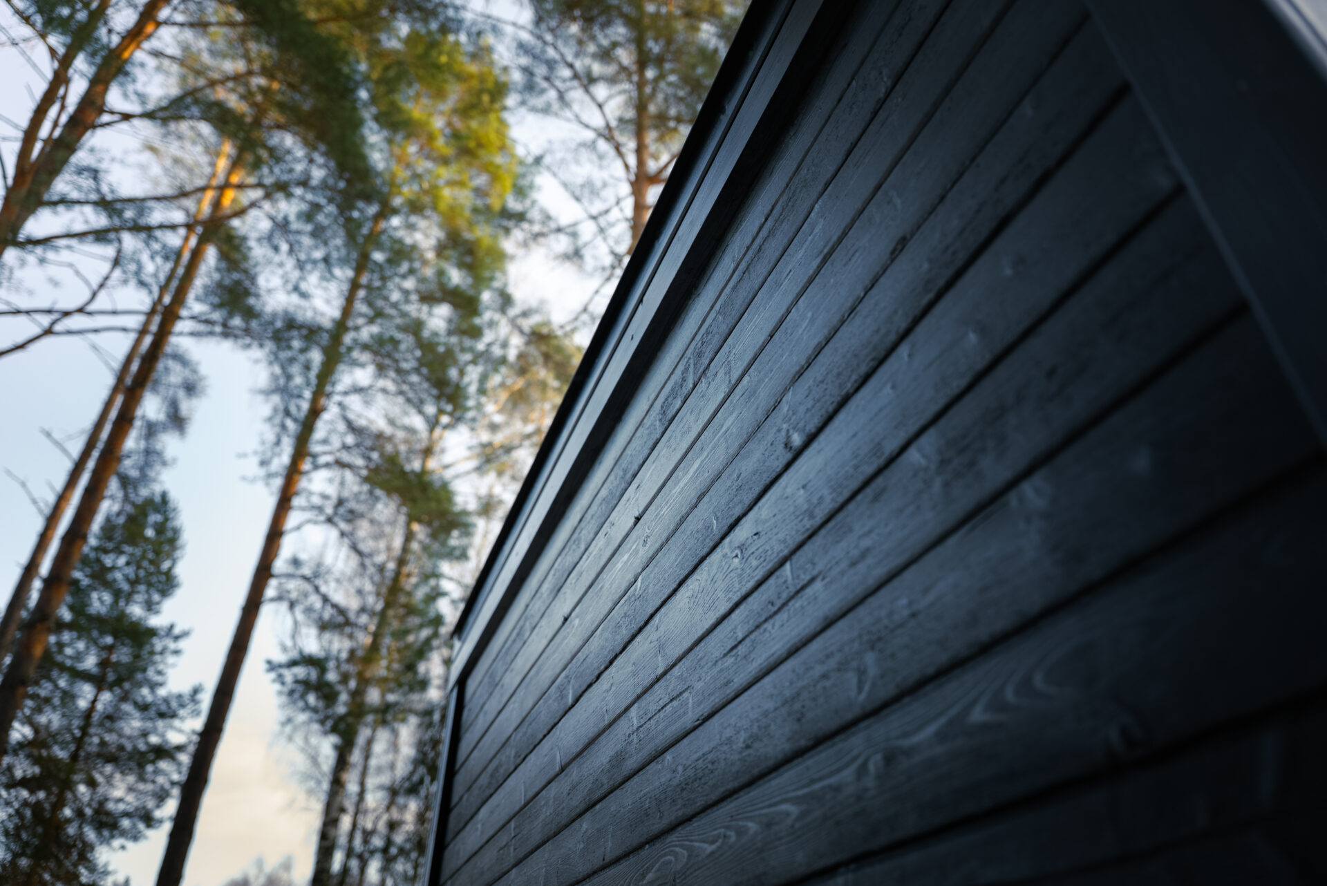 Quite modular sauna resting in a winter forest, designed for slow outdoor wellness
